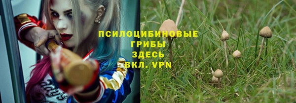 амфетамин Алексин