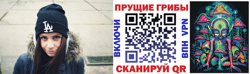 Галлюциногенные грибы Psilocybe  Петровск-Забайкальский 